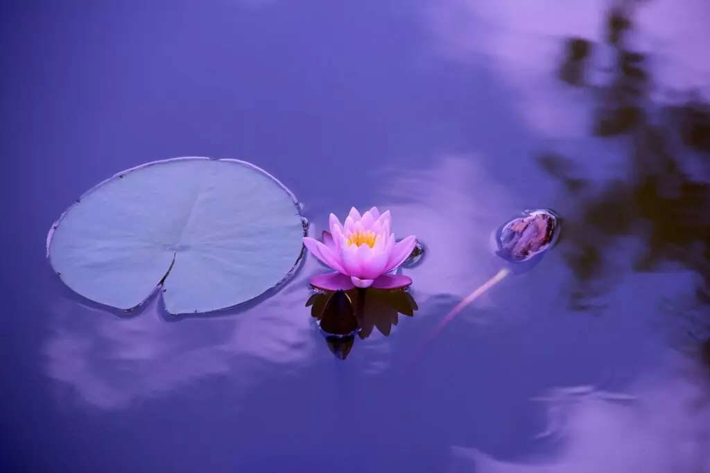 Die Body-Scan-Meditation ist eine transformative Praxis, die mir zu innerem Gleichgewicht und Wohlbefinden verholfen hat.
