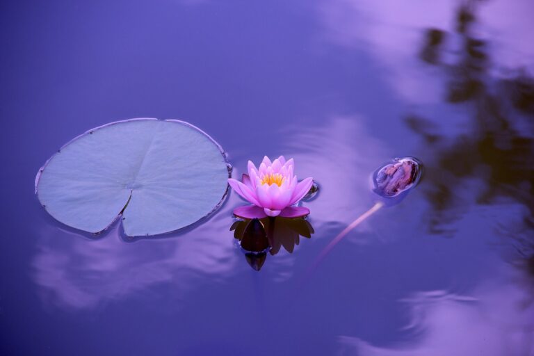 Die Body-Scan-Meditation ist eine transformative Praxis, die mir zu innerem Gleichgewicht und Wohlbefinden verholfen hat.